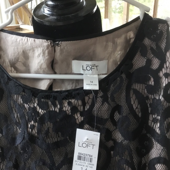 Ann Taylor Loft lined lace dress size 14 - Picture 1 of 3